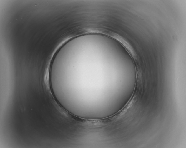 X0000101691198200807311405