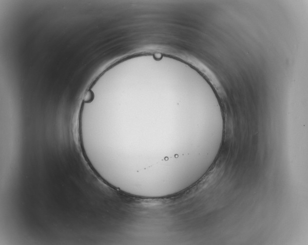 X0000101691199200807311405