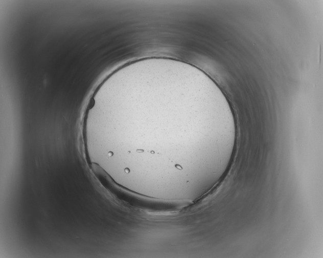 X0000101691200200807311405