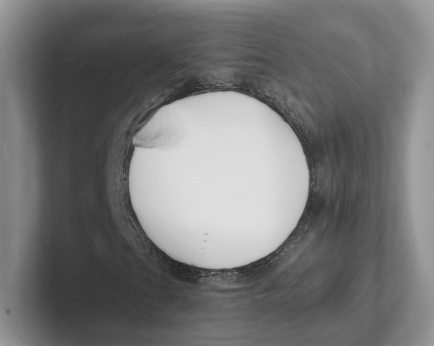 X0000101691201200807311405