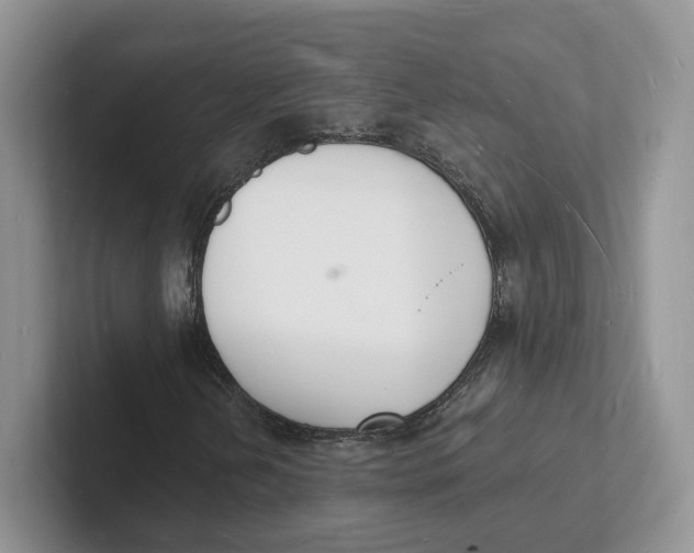 X0000101691202200807311405