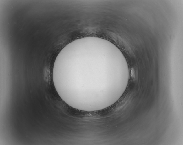 X0000101691203200807311405