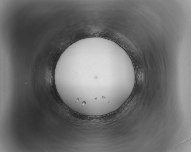 X0000101691204200807311405