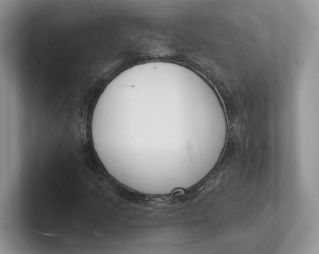 X0000101691205200807311405