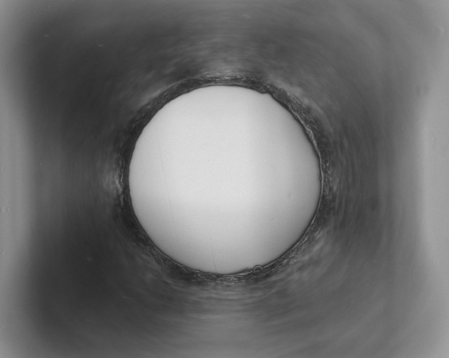 X0000101691206200807311405