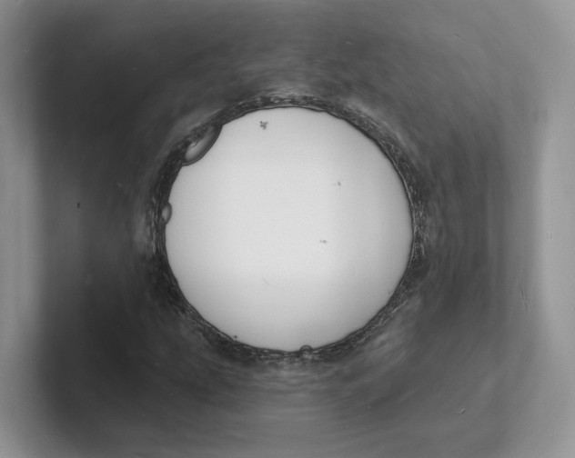 X0000101691207200807311405