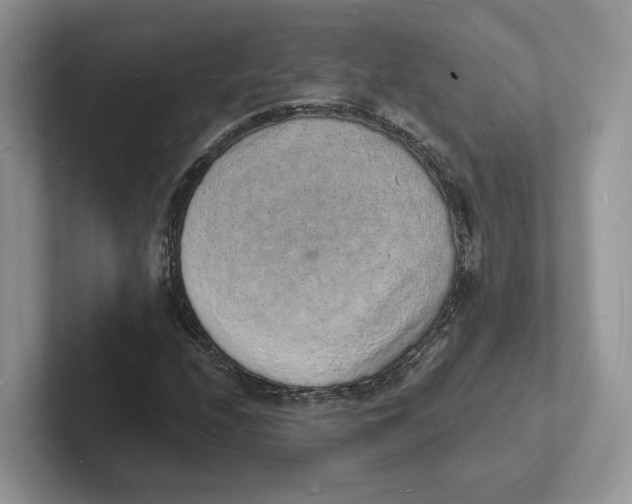 X0000101691208200807311405