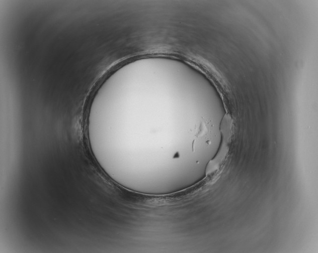 X0000101691212200807311405