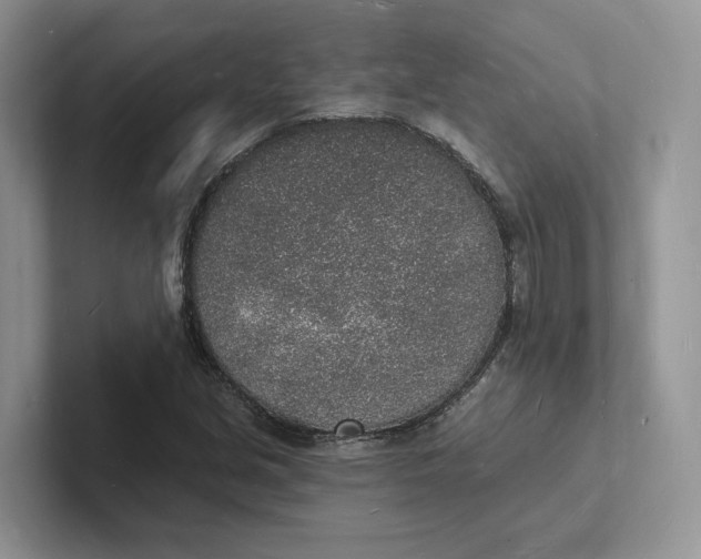 X0000101691213200807311405