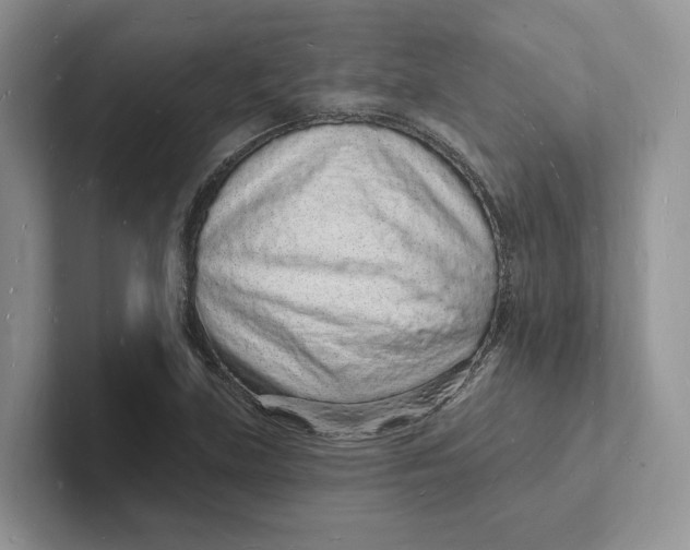 X0000101691219200807311405