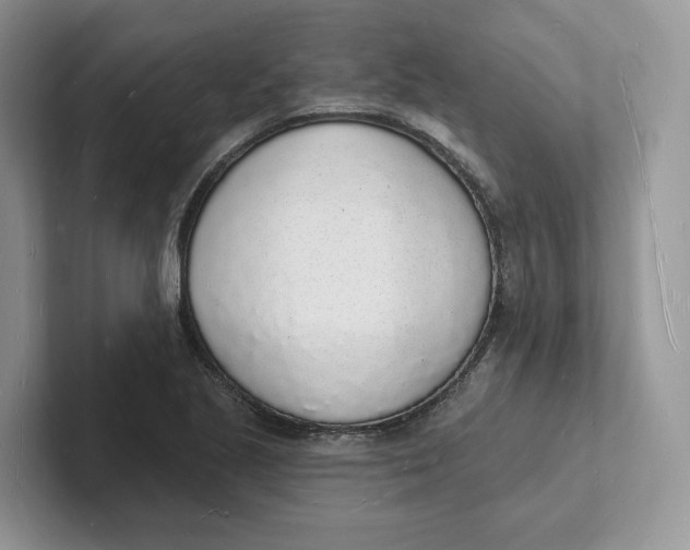 X0000101691221200807311405