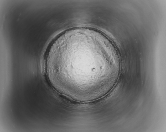 X0000101691223200807311405