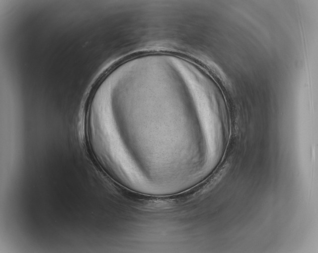 X0000101691224200807311405