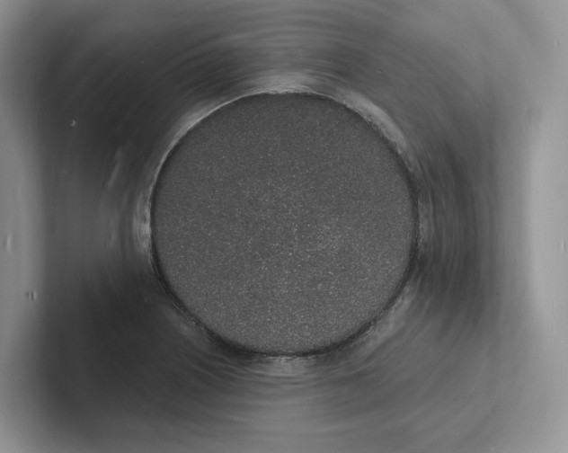 X0000101691226200807311405