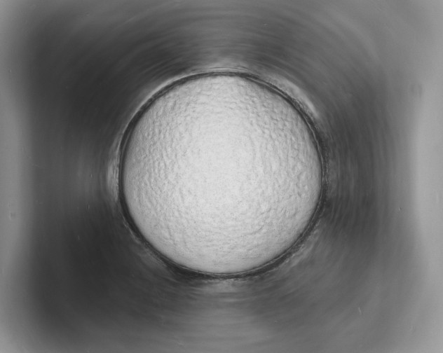 X0000101691228200807311405