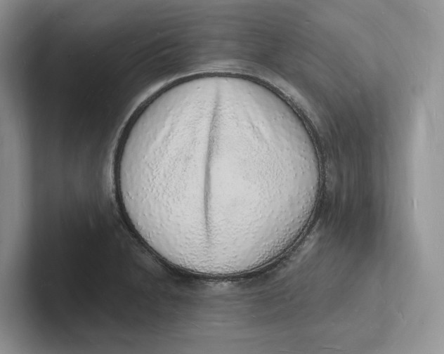 X0000101691230200807311405