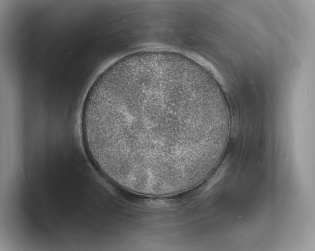 X0000101691231200807311405