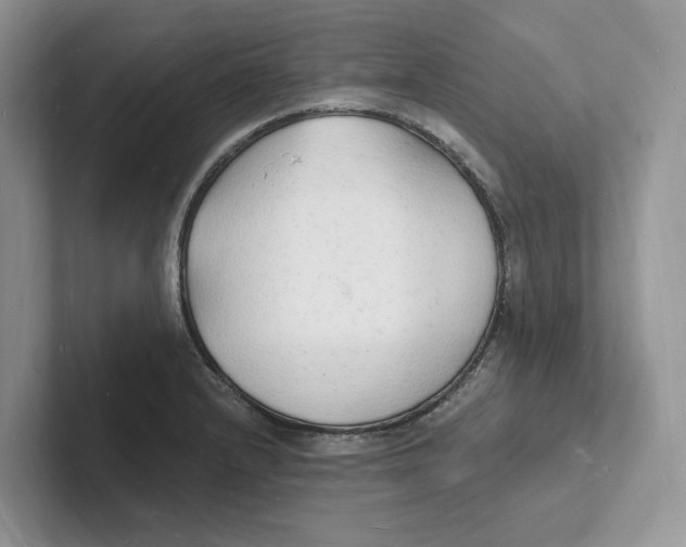 X0000101691232200807311405