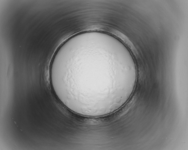 X0000101691234200807311405