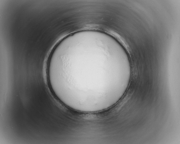 X0000101691235200807311405