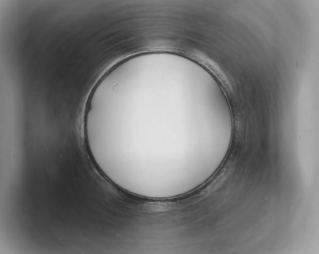 X0000101691236200807311405