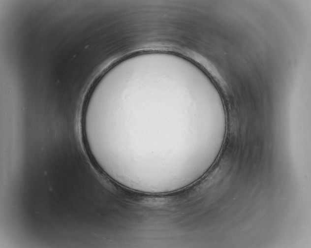 X0000101691237200807311405