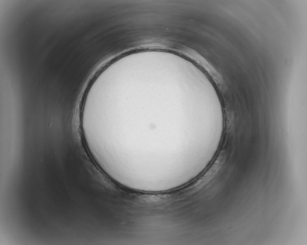 X0000101691240200807311405