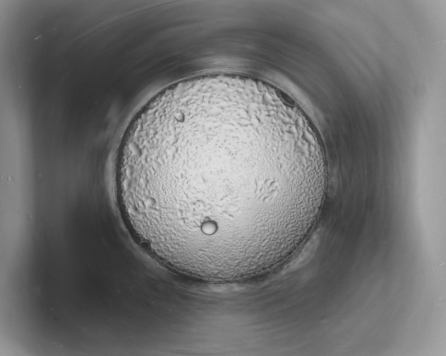 X0000101691243200807311405