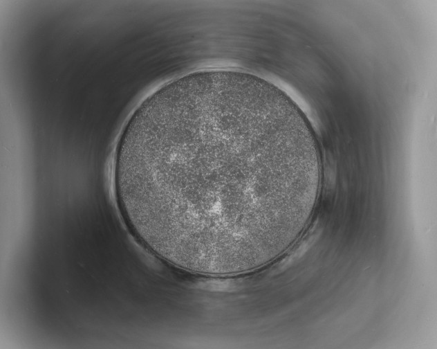 X0000101691245200807311405