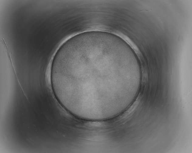 X0000101691246200807311405