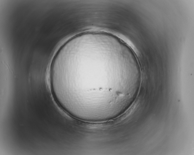 X0000101691247200807311405