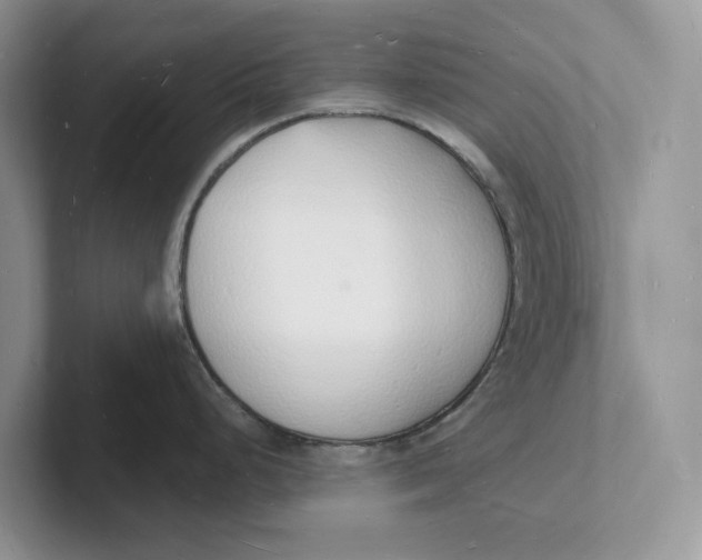 X0000101691248200807311405