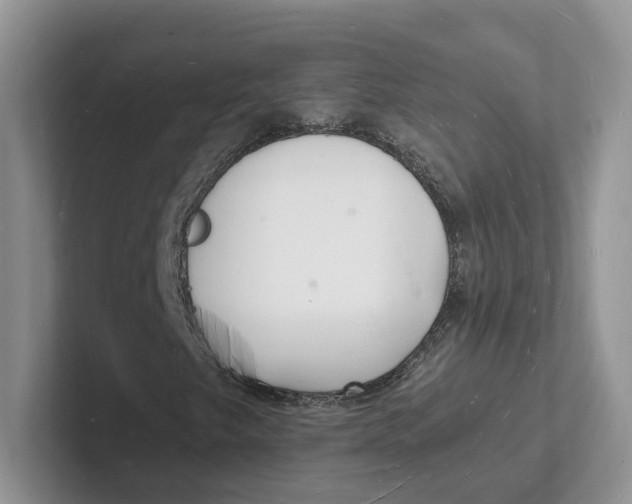 X0000101691249200807311405