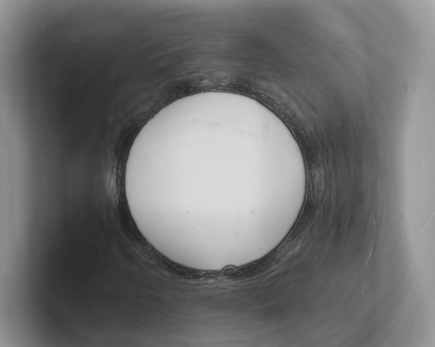 X0000101691250200807311405