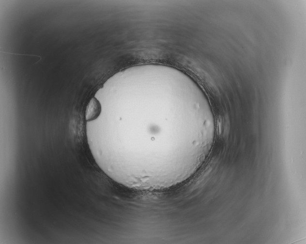 X0000101691251200807311405