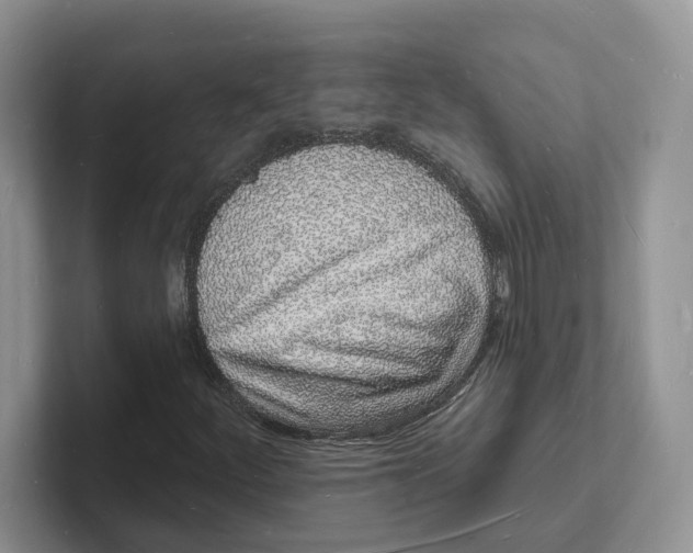 X0000101691252200807311405