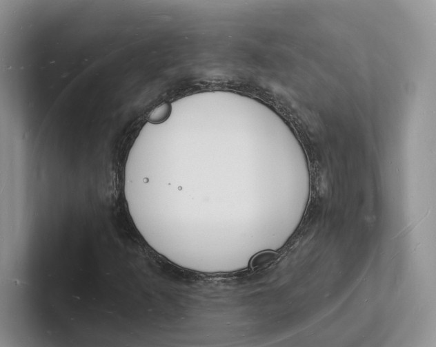 X0000101691253200807311405