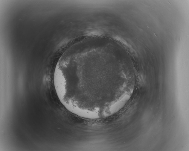 X0000101691254200807311405