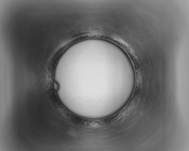 X0000101691255200807311405