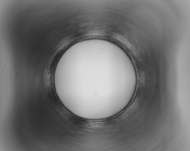 X0000101691258200807311405