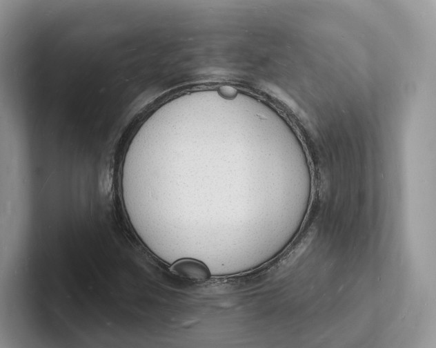 X0000101691259200807311405