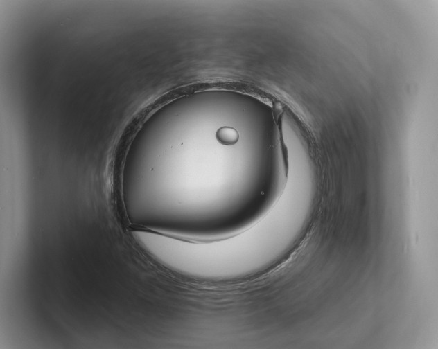 X0000101691261200807311405