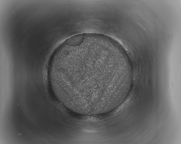 X0000101691263200807311405