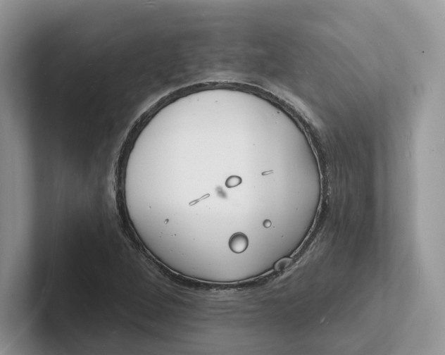 X0000101691264200807311405