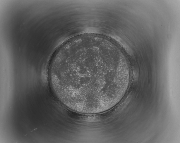 X0000101691266200807311405