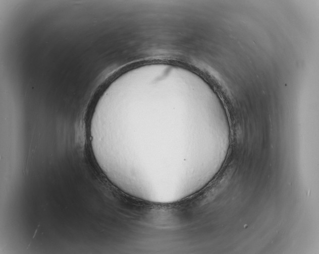 X0000101691267200807311405