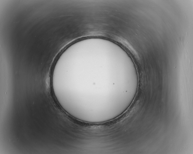 X0000101691268200807311405