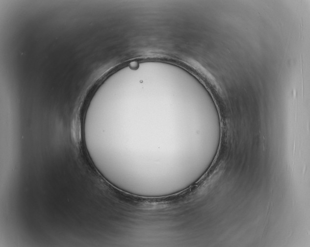 X0000101691269200807311405