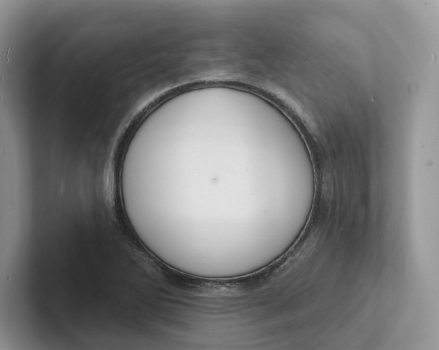 X0000101691270200807311405