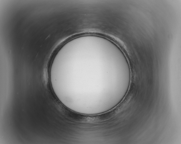 X0000101691271200807311405